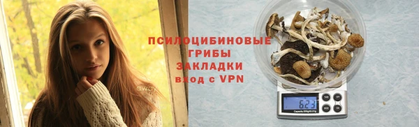 прущая мука Дмитриев