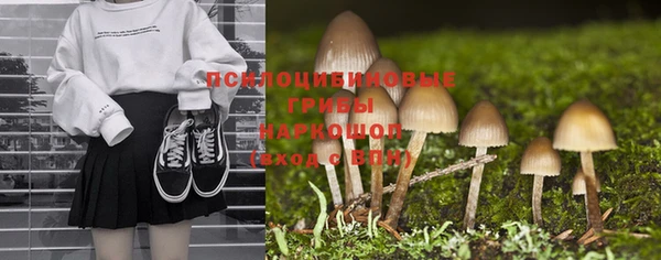 прущая мука Дмитриев